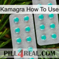 Kamagra How To Use 29